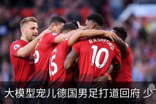 大模型宠儿德国男足打道回府 少了人性观察数据等于废纸