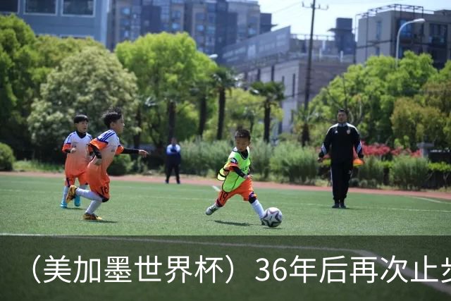 （美加墨世界杯）36年后再次止步16强 巴西距“六星之梦”仍遥远